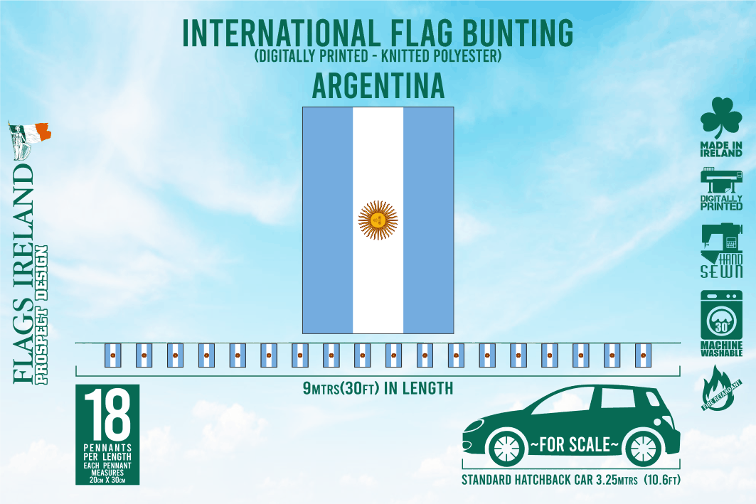 Argentina Flag Bunting