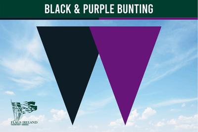 Black & Purple Colour Bunting