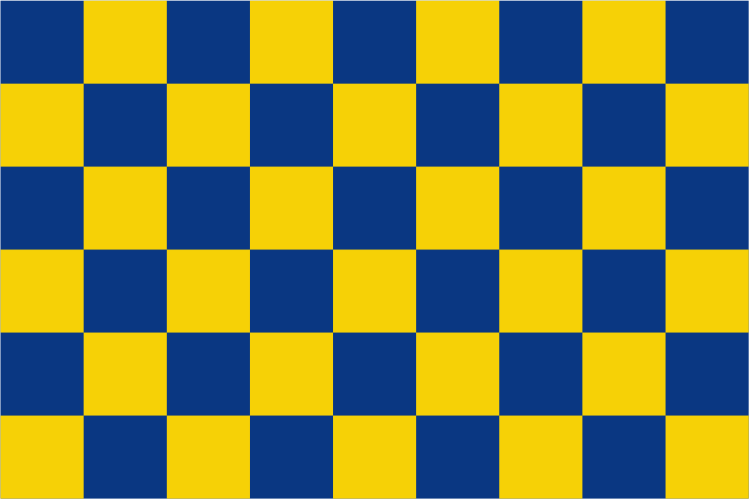Bandeira quadriculada azul (Patricks - County) e branca