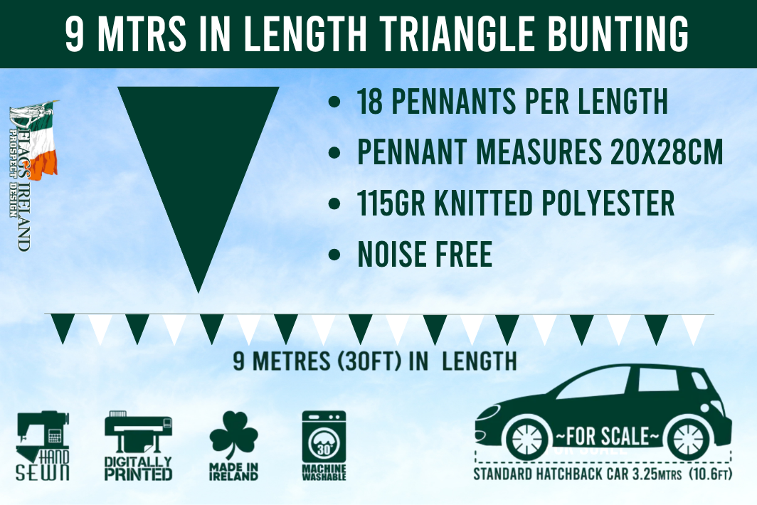 British & Irish Lions Rugby Bunting