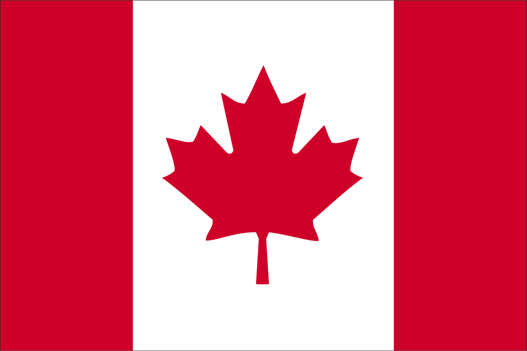 Handschwenkende Flagge Frankreichs