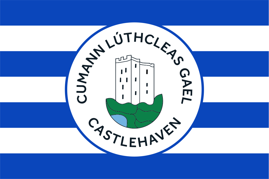 Castlehaven GAA Crested Blue & White Striped Flag