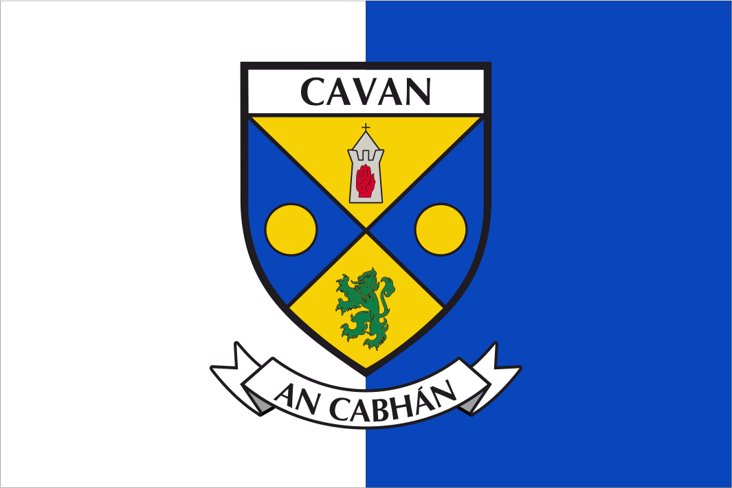 Dublin County Crest Handschwenkflaggen