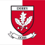 Derry County Crest Handwaver Flags
