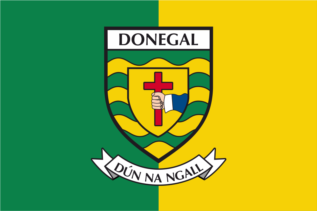 Dublin County Crest Handschwenkflaggen
