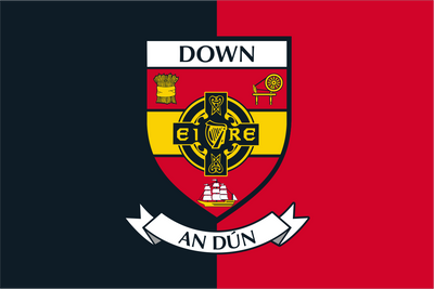 Down County Crest Flag