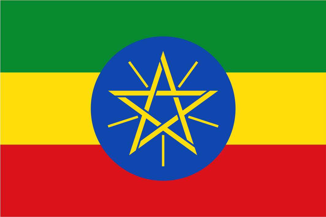 Bandeira Handwaver da França