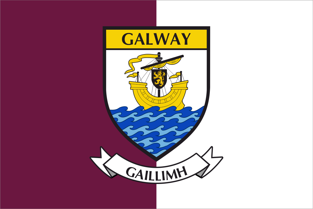 Galway County Crest Flag