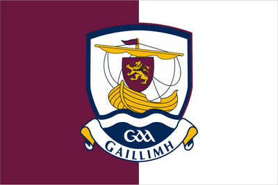 Galway GAA Crest Handwaver Flag