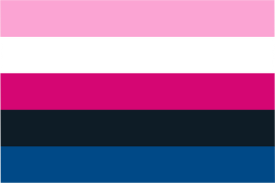 Gender Fluid Pride Hand Waver Flag