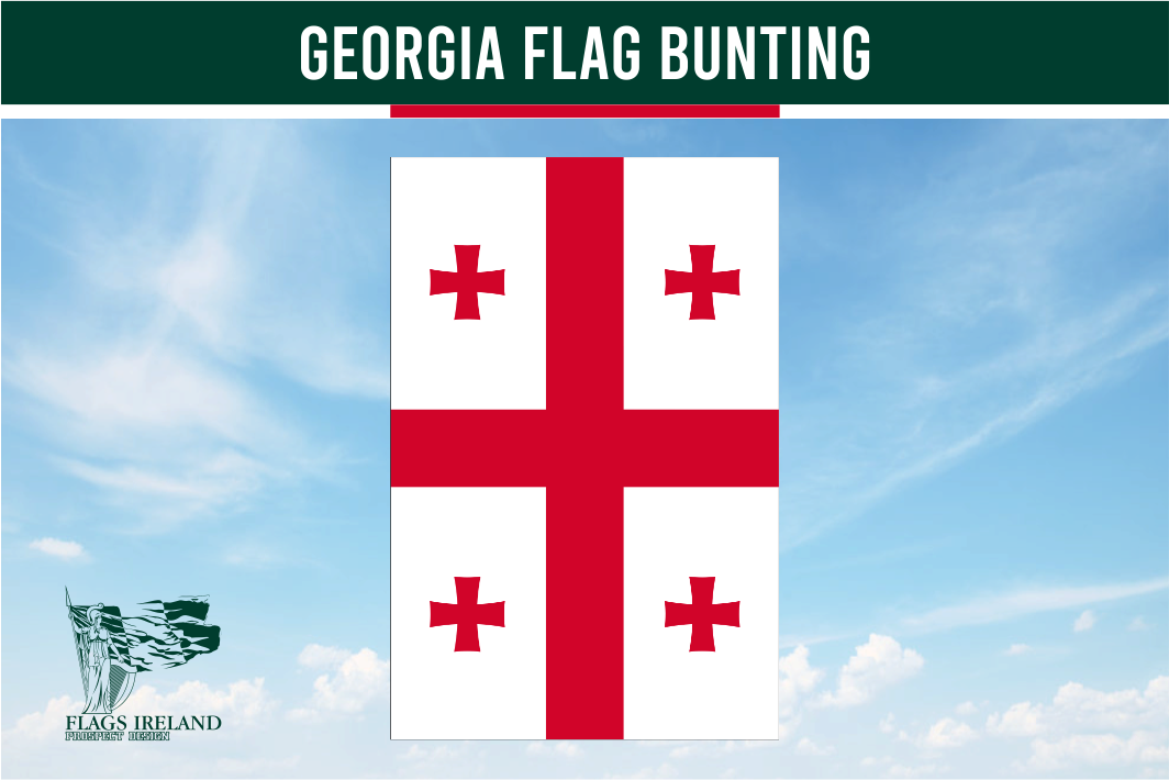 Georgia Flag Bunting