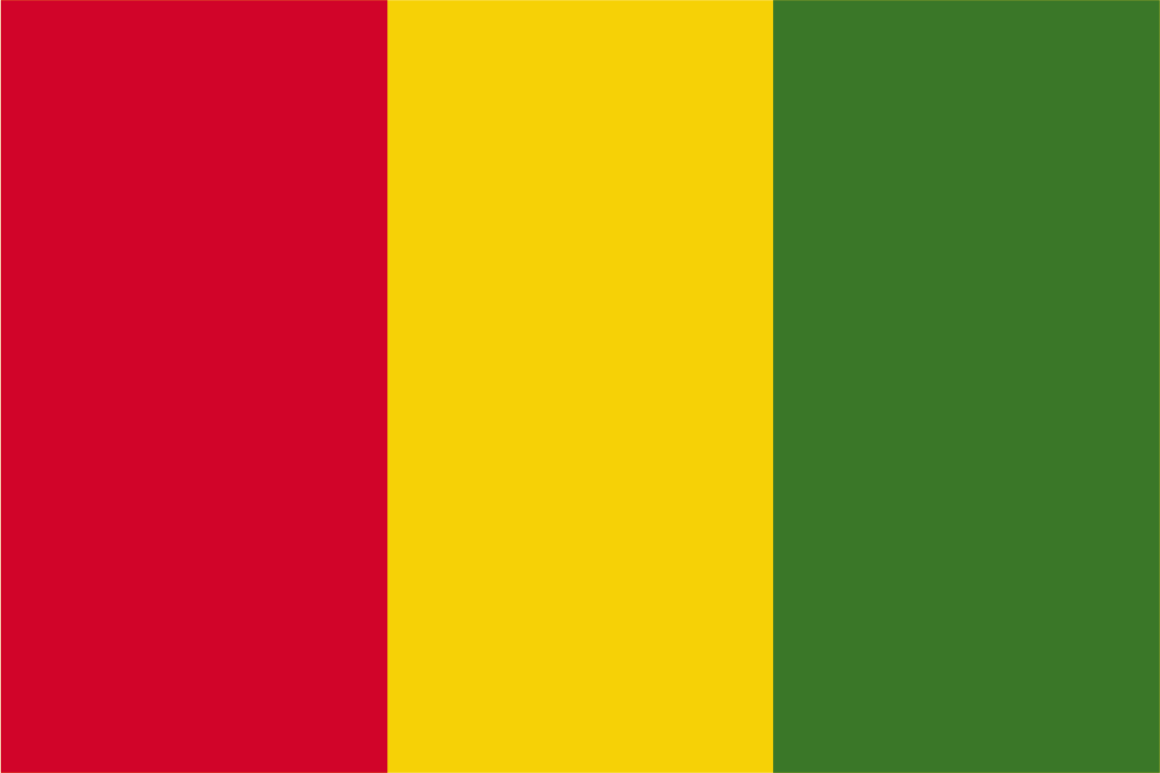 Guinea National Flag