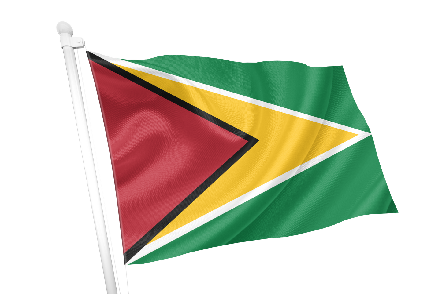 Guyana Flag