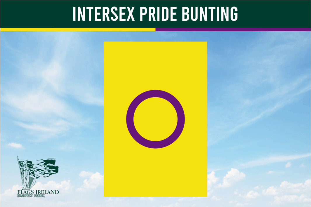 Intersex Pride Flag Bunting