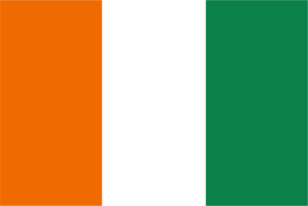 Bandeira Handwaver da França