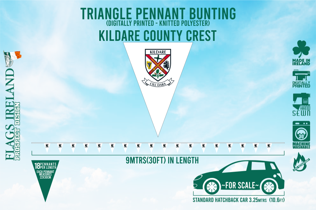 Estamenha da crista do condado de Kildare