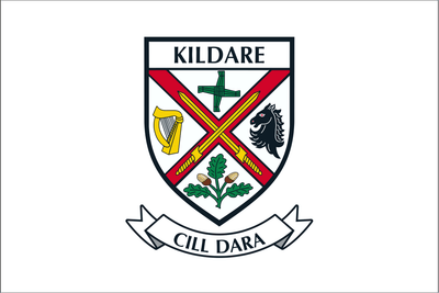 Kildare County Crest Handwaver Flag