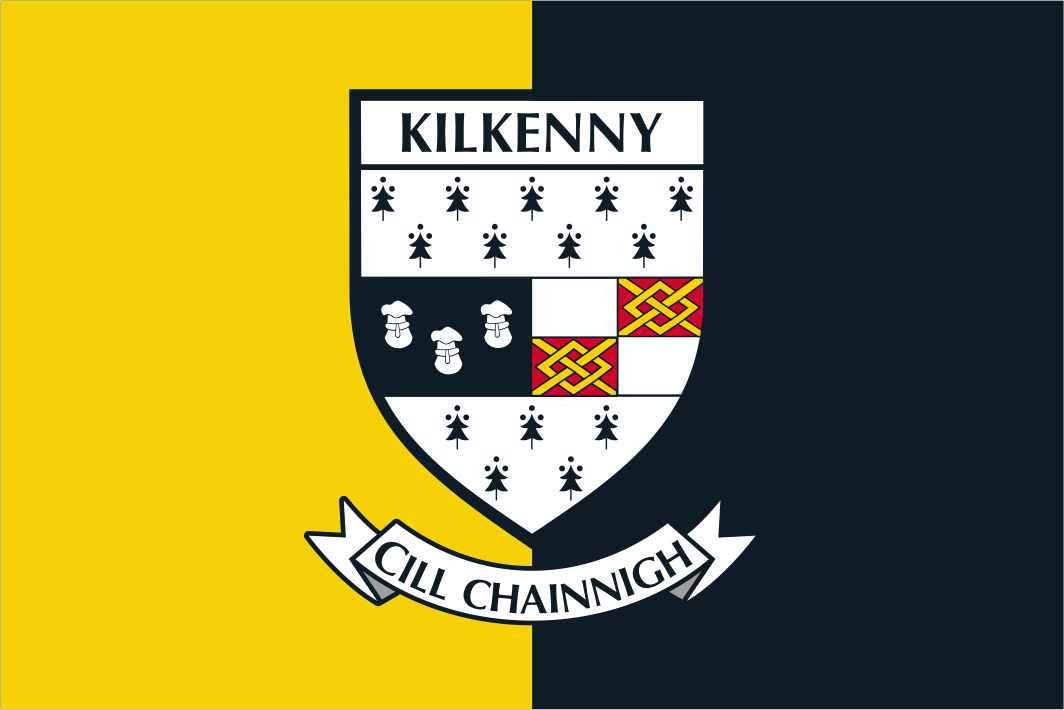 Bandeira do brasão do condado de Kilkenny