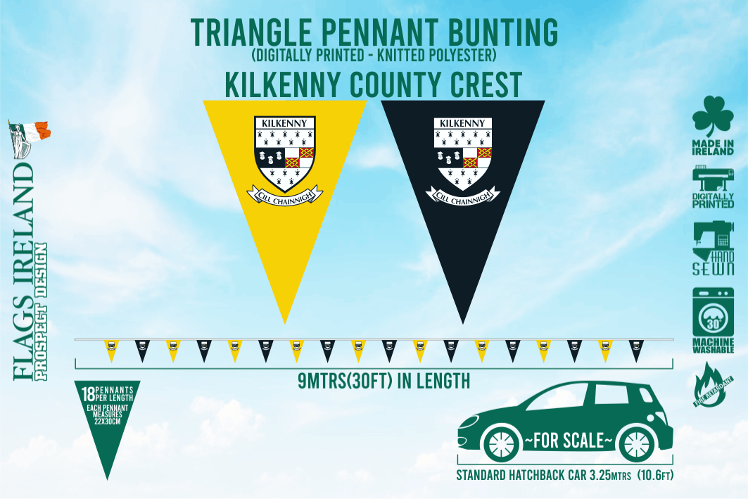 Estamenha da crista do condado de Kilkenny