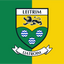 Leitrim County Crest Handwaver Flag