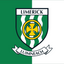 Limerick County Crest Flag