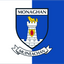 Monaghan County Crest Flag
