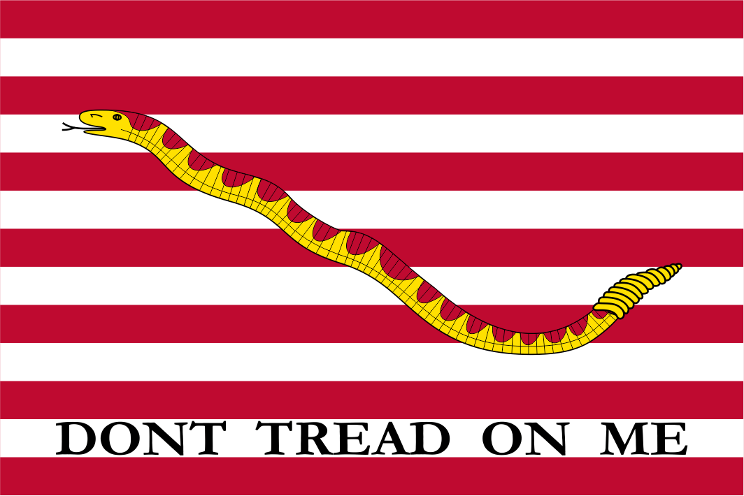 Naval Jack of the United States (2002–2019) Flag