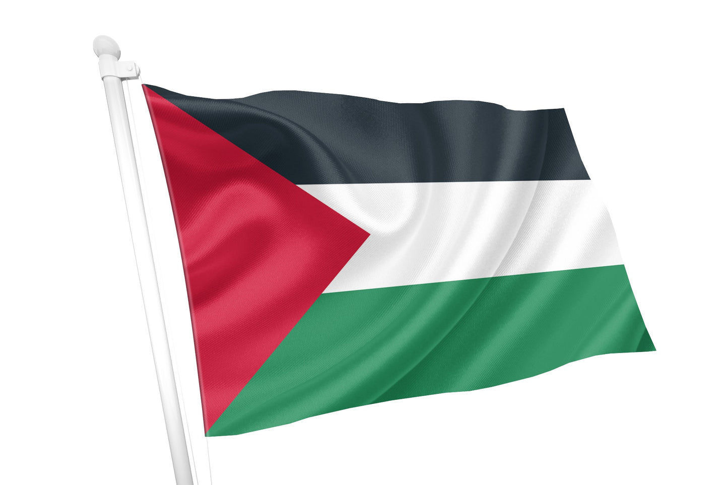 Palestine National Flag