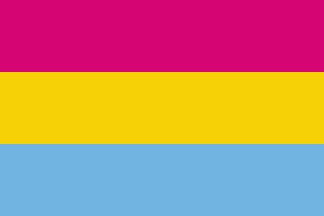 A rectangular Pansexual Pride flag with three horizontal stripes: pink at the top, yellow in the middle, and blue at the bottom. The flag represents attraction to people regardless of gender identity.