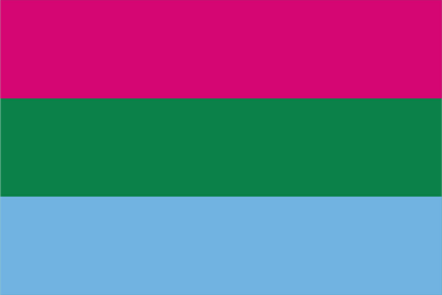 Polysexual Pride Hand Waver Flag