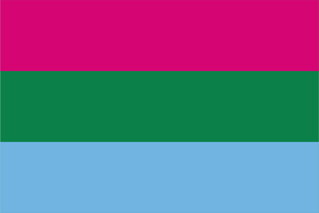 Polysexual Pride Hand Waver Flag
