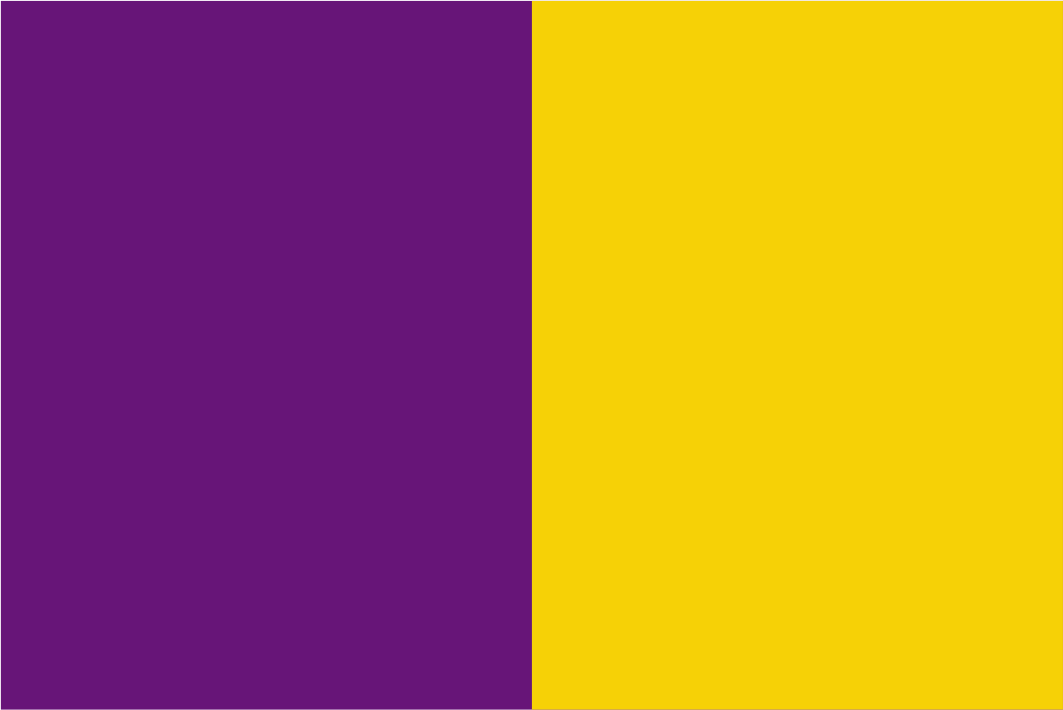 Irland-Handschwenker-Flagge