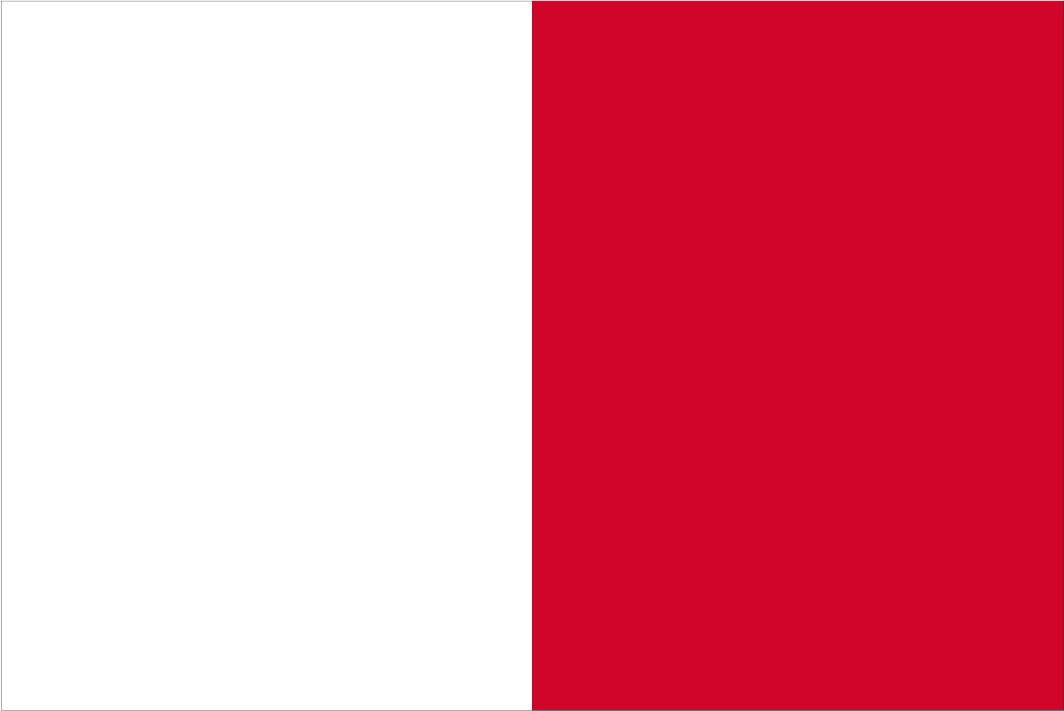 Irland-Handschwenker-Flagge