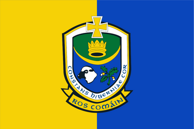 Roscommon GAA Crest Flag