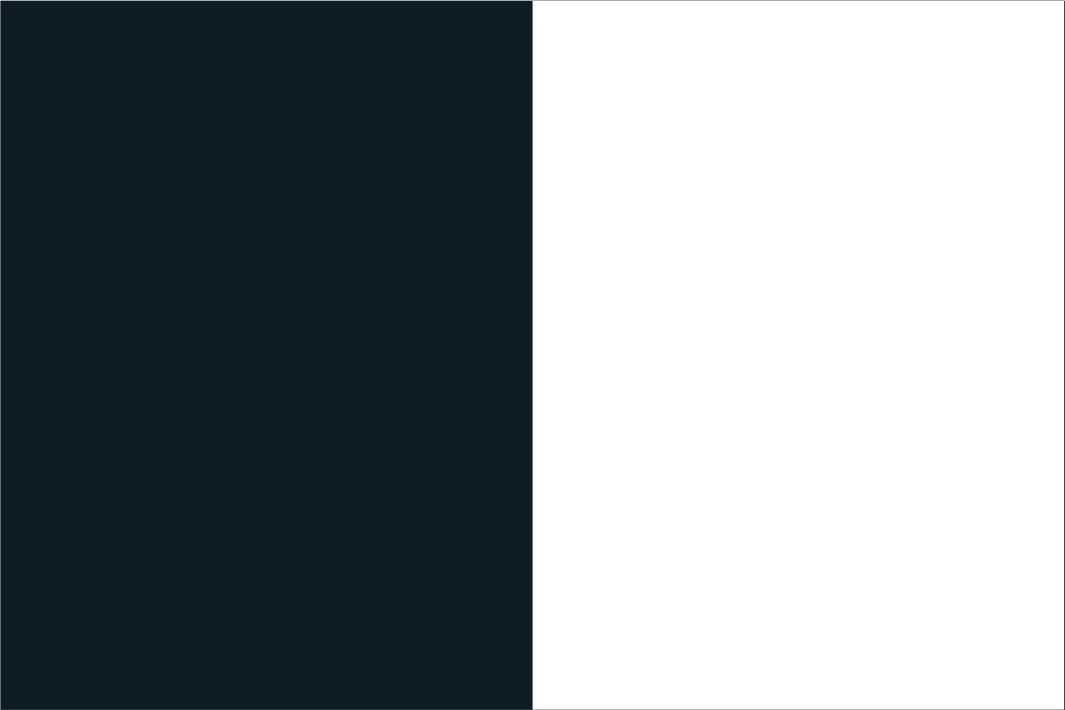 Schwarz-weiße Flagge