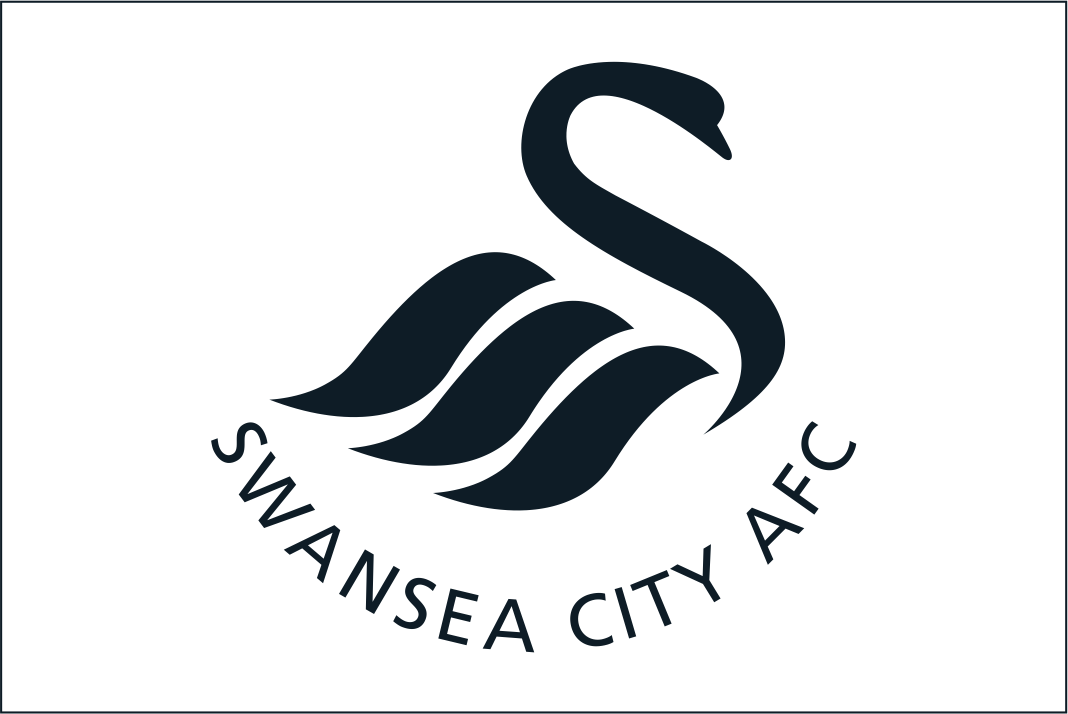Swansea City Association Football Club Flag