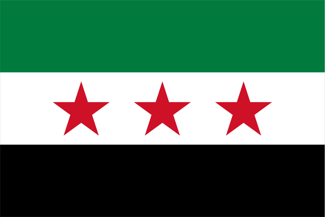 Syrian National Coalition Flag