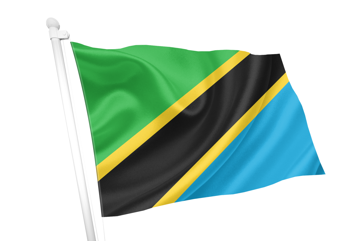 Tanzania Flag