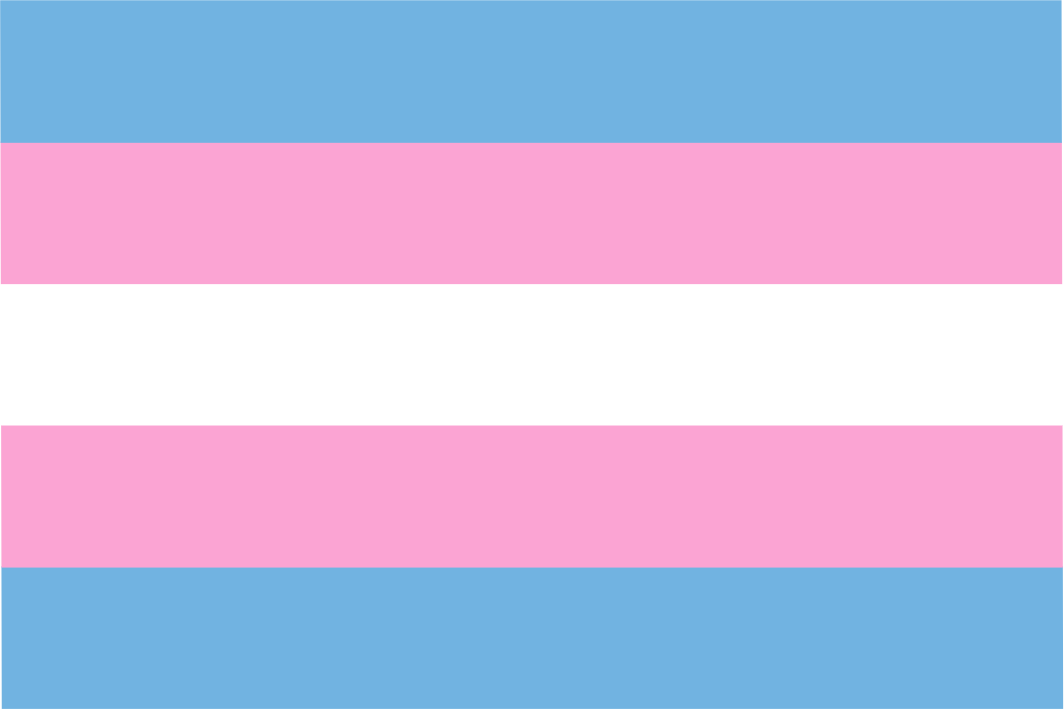 A digital representation of the Transgender Pride flag, featuring five horizontal stripes in light blue, pink, white, pink, and light blue. The flag symbolizes transgender identity, with blue representing traditional masculinity, pink representing traditional femininity, and white representing non-binary, genderqueer, or transitioning individuals.