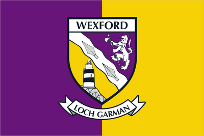 Wexford County Crest Flag