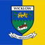 Wicklow County Crest Flag