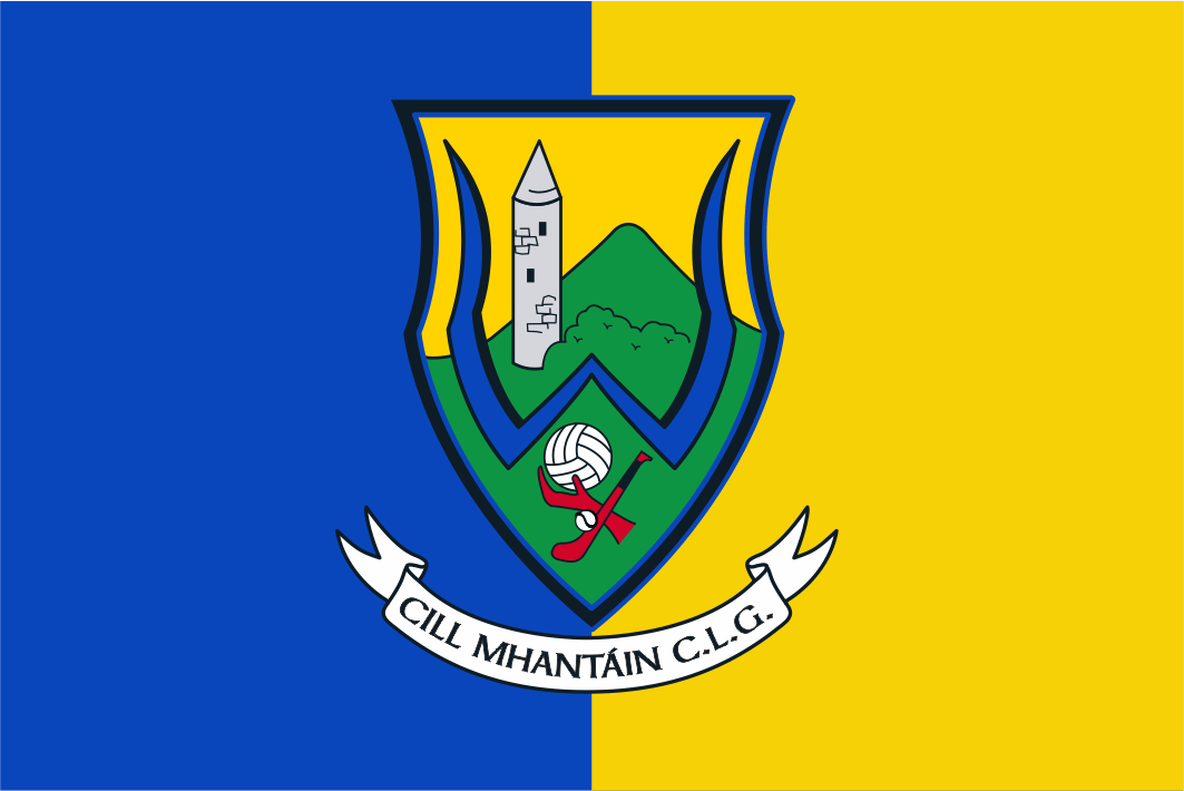 Bandeira da crista de Wicklow GAA