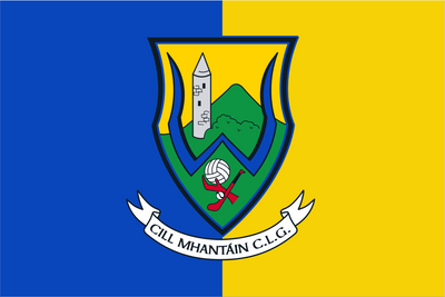 Wicklow GAA Crest Flag