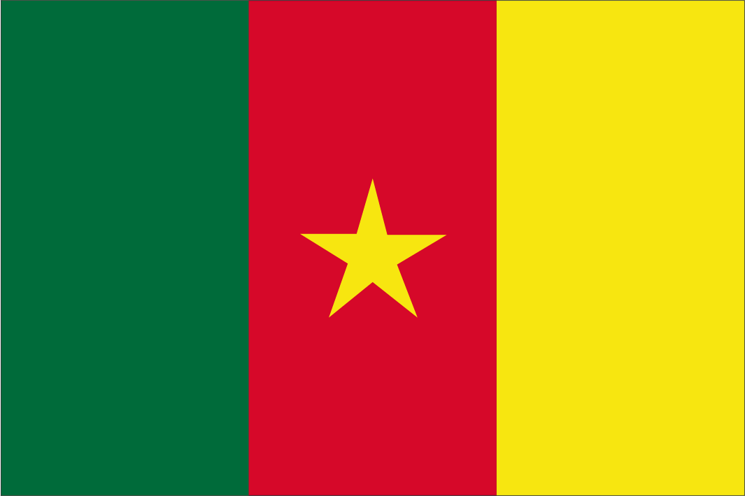 Cameroon National Flag