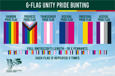 6-Flag Unity Pride Bunting by Flags Ireland, featuring six LGBTQ+ Pride flags: Rainbow Pride, Progress Pride, Transgender Pride, Bisexual Pride, Pansexual Pride, and Asexual Pride. The bunting measures 9 metres (30ft) in length with 18 pennants, each flag design repeated three times. Ideal for Pride parades, events, and LGBTQ+ celebrations. Flags Ireland logo positioned in the bottom left corner.