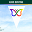 Colorful bunting with a butterfly design against a blue sky, branded as 'Flags Ireland'. ADHD - Attention-Deficit/Hyperactivity Disorder Bunting