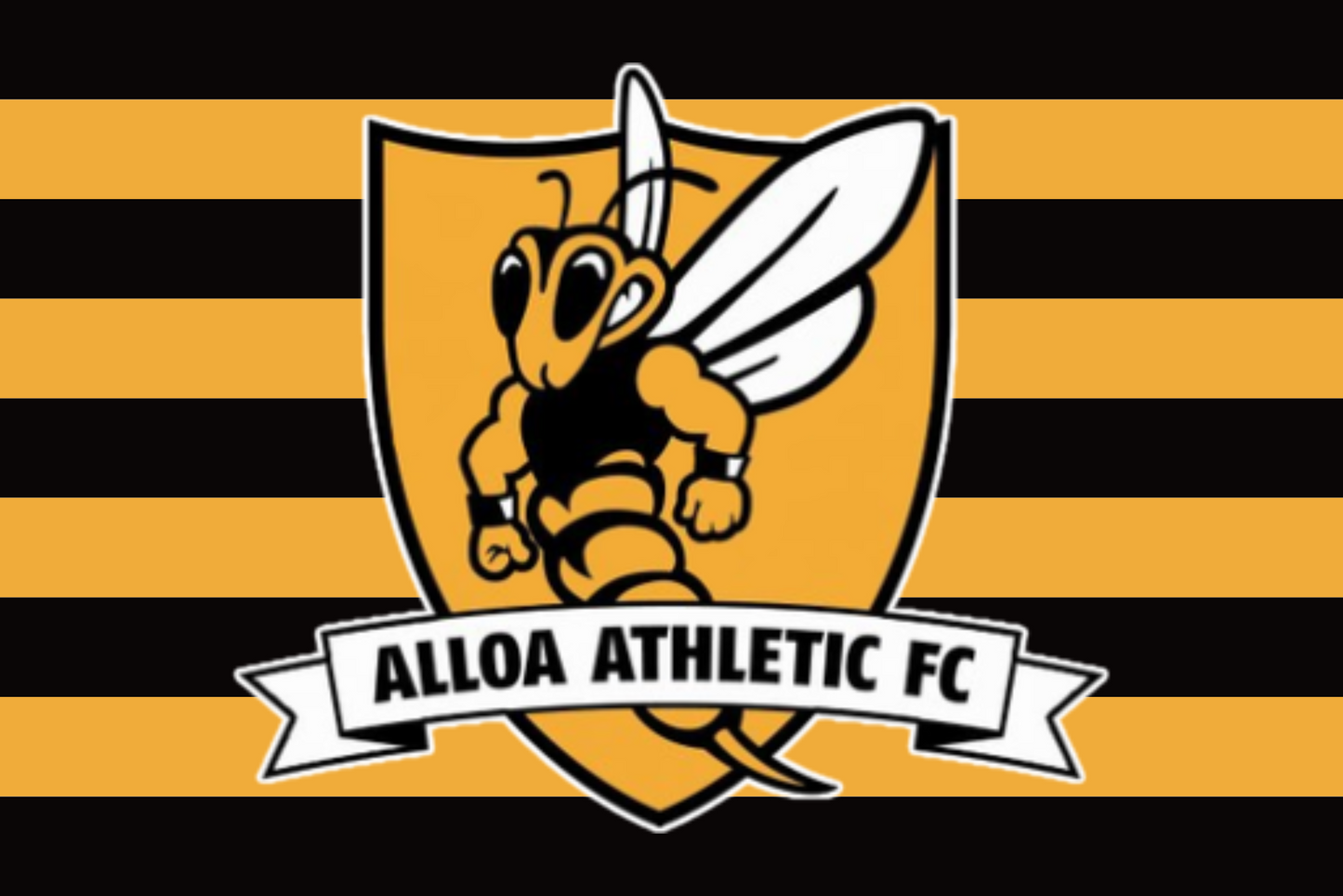 Alloa Athletic Football Club Flag