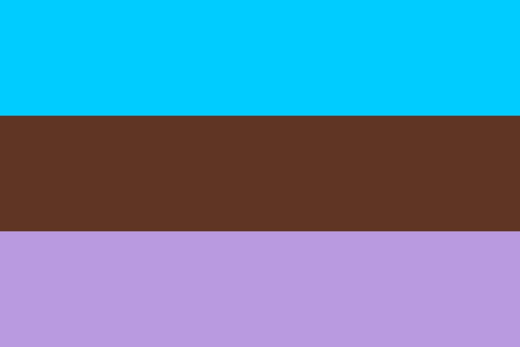 Androsexual Pride Flag Two horizontal color bars, one blue and one brown, on a purple background.
