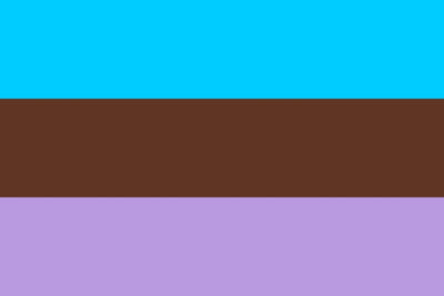 Androsexual Pride Flag Two horizontal color bars, one blue and one brown, on a purple background.