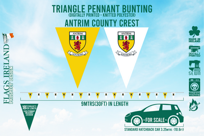 Wappenflagge des Antrim County